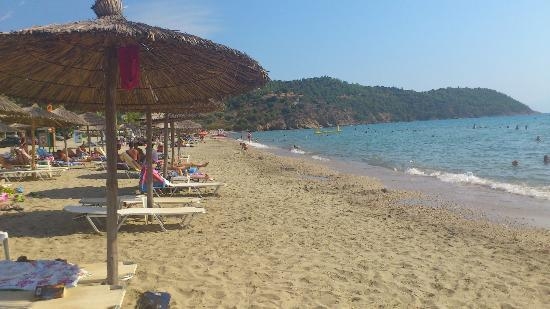 sea breeze cafe bar restaurant