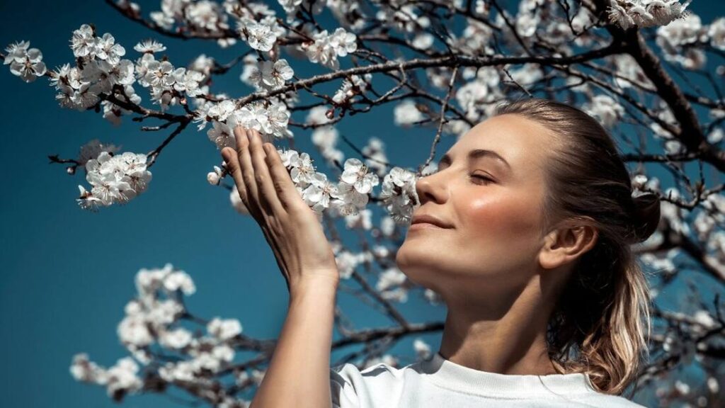 Springtime in Thassos Blooming Flowers and Sea Views